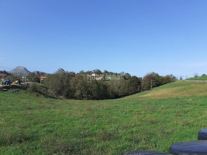 Foto bc3808cc-7ffc-489a-84cd-4171ba03187d. Finca rústica a Ribadesella