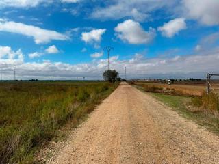 Residential Plot in Motilleja. No urbmotillejapol5 parcela 171, paraje motilleja ii