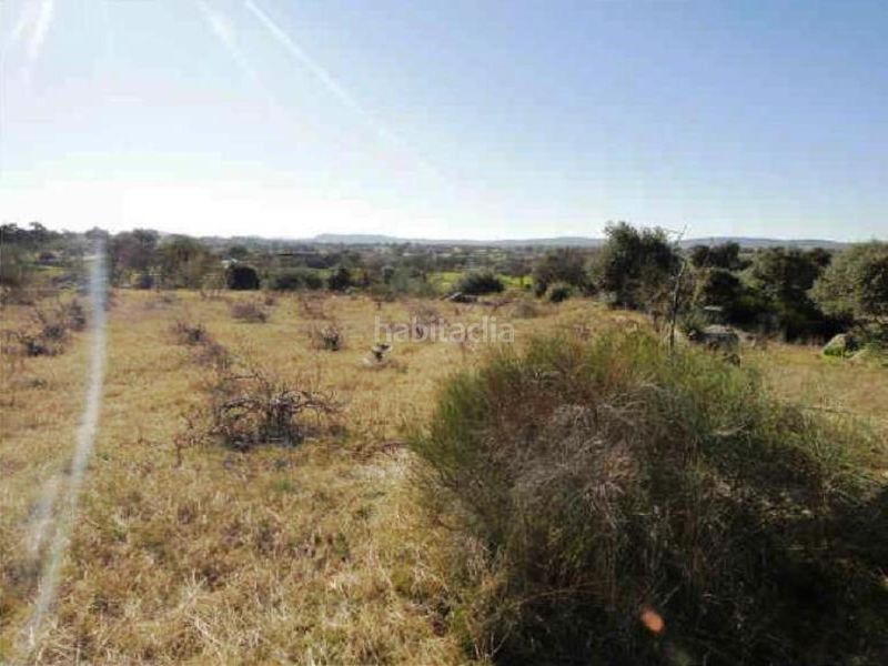 Foto 10ef1b18-d7a0-4bbc-9a59-76e604395311. Finca rústica a Esparragosa de la Serena