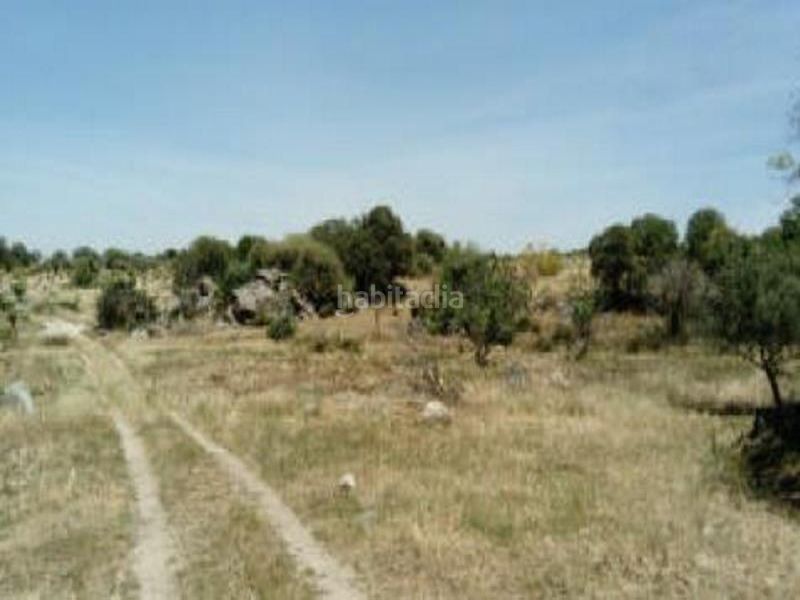 Foto 7c90d0a7-4643-4abe-a763-44dd72dbedeb. Finca rústica a Esparragosa de la Serena