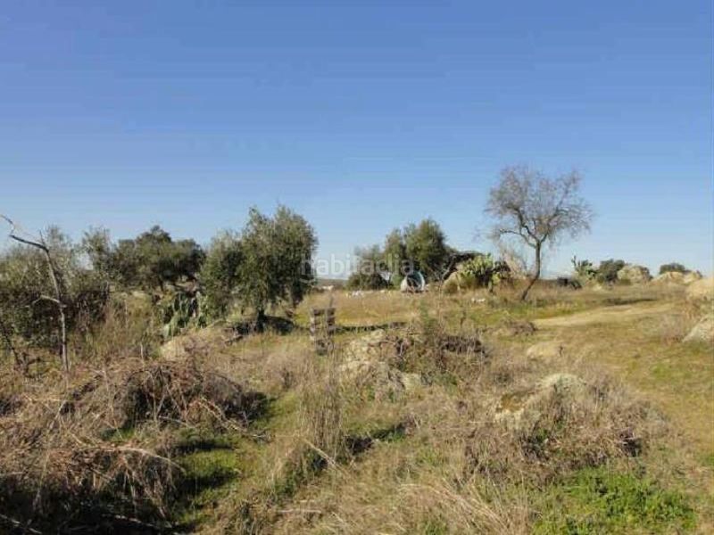 Foto 9692c1b8-c989-4eed-9737-d86a0f94759e. Finca rústica a Esparragosa de la Serena