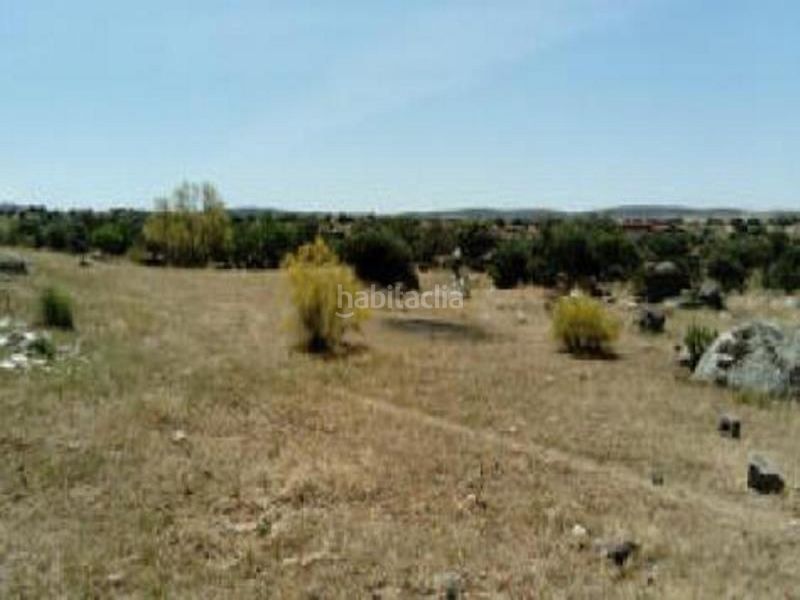 Foto a798d347-2018-41b6-8175-89457d3567a6. Finca rústica a Esparragosa de la Serena