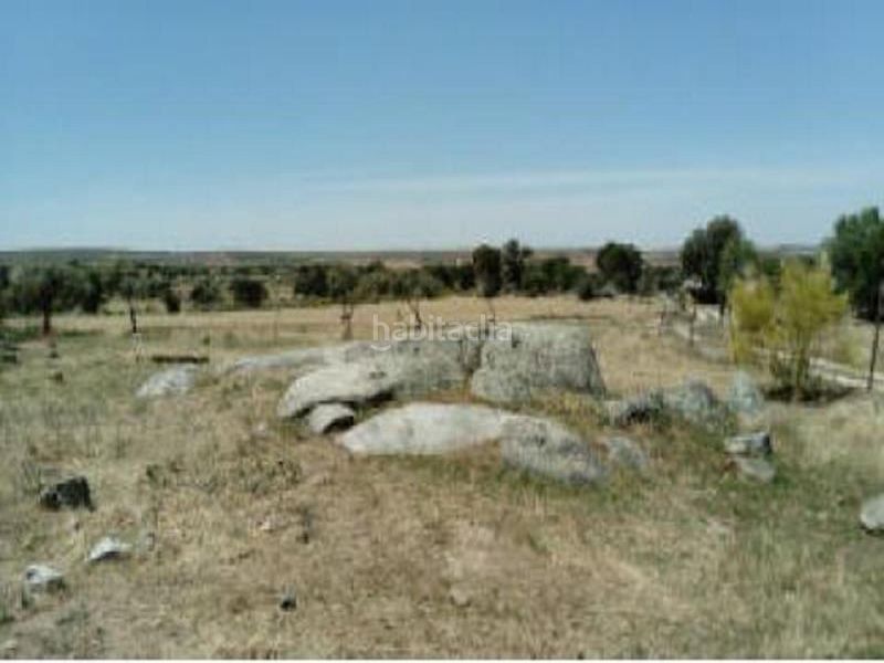 Foto d8fab1e1-8c9f-401a-9997-2c2b8d536470. Finca rústica a Esparragosa de la Serena