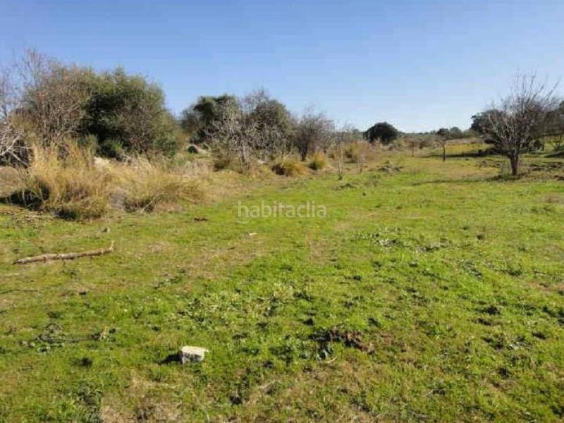 Foto fc15f3b5-bb5a-4cbe-9155-e5b8e856652e. Finca rústica a Esparragosa de la Serena
