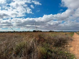 Residential Plot in Motilleja. No urbmotillejapol13 parcela 294, paraje motilleja ii