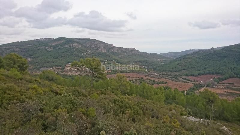 Foto 801a85d4-7b67-4949-a330-abbfb2586eca. Finca rústica a Cabanes