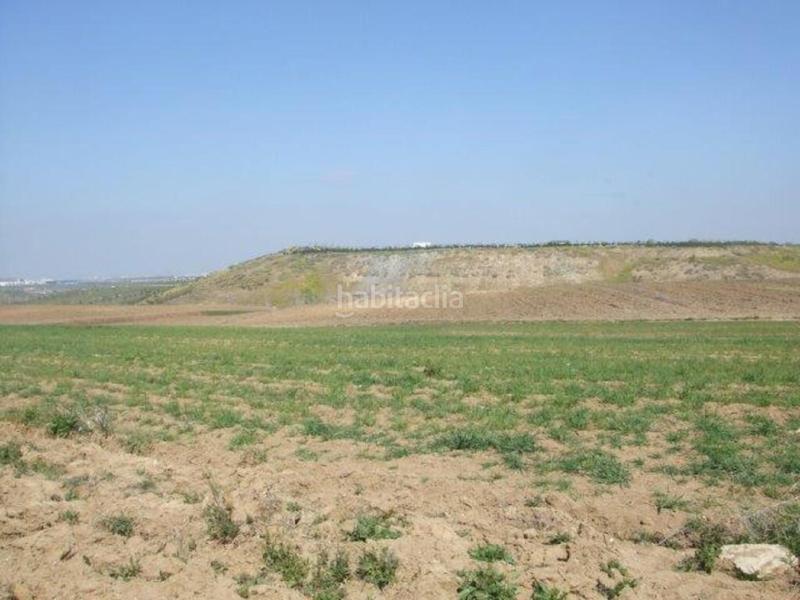 Foto 7407e6a8-975d-4f58-8e9f-81a88e317c5a. Terreny residencial a Sudeste Industrial Fuenlabrada