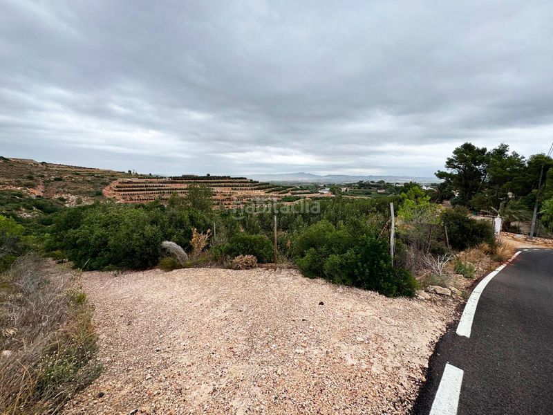 Foto f079ff2e-c171-4797-9e48-cb7ff4caad05. Finca rústica a Carlet