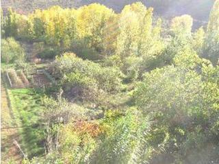 Landgut in Casas Bajas. Casa gil
