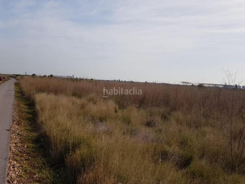 Foto 1d76b545-530d-42a8-95df-4973907c4aab. Finca rústica a Chilches