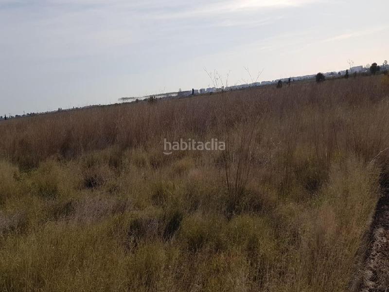 Foto 21f87101-e971-4fec-90d4-93d998397dab. Finca rústica a Chilches