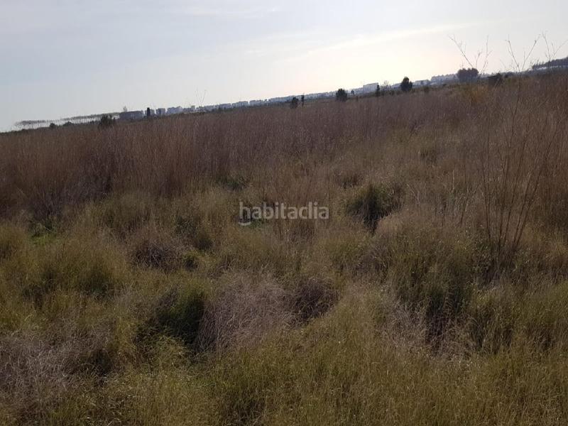 Foto 242d5a97-9a63-4c26-9ed4-af7132284719. Finca rústica a Chilches