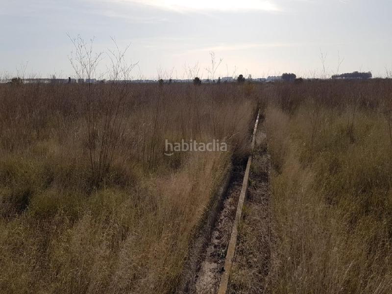 Foto 7201bab1-e3ac-495d-83c0-a0c3c36ce27d. Finca rústica a Chilches