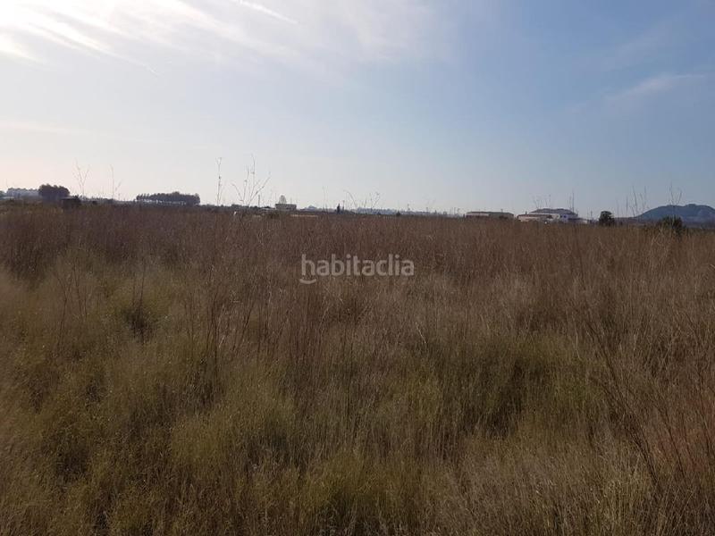 Foto 94f1865a-fa69-4bd2-9de1-9553394e10b2. Finca rústica a Chilches