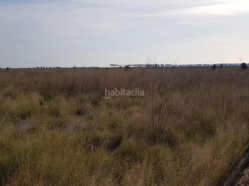 Foto dcf4a5f2-1d17-4abe-92f6-13fbee447f88. Finca rústica a Chilches