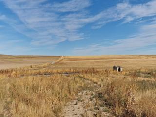 Rural plot in Carbonero el Mayor. Justino casado martin finca 16652