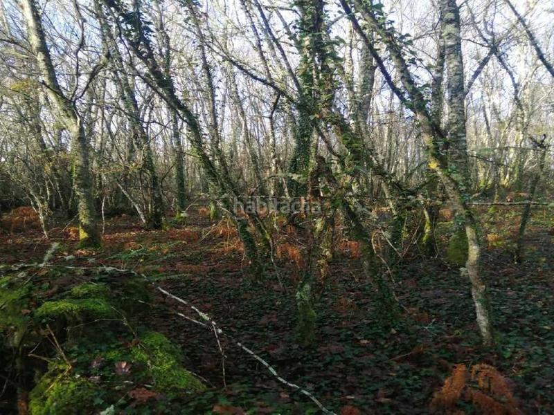 Foto 908e792a-bf4f-4c61-9fb9-37d70e7806c8. Finca rústica suelo en friol en Parroquias del Oeste Lugo