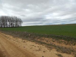 Finca rústica a Fuentes de Ropel. Sitio de la ojencia