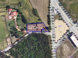 Finca rústica a Massanes. Finca rus. en paraje pau valentí pg 13 parc 6 finc