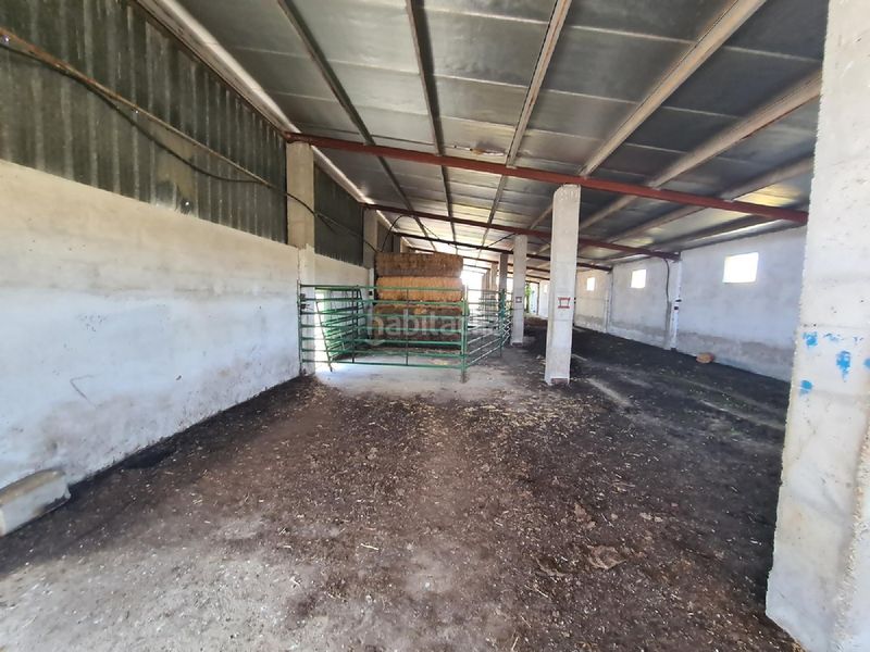 Foto e00fe615-69af-4943-8288-df94ec291c79. Finca rústica a Martinamor