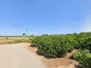 Terreny residencial a Almenara. Partida camino de mar. polígono 11 parcela 34