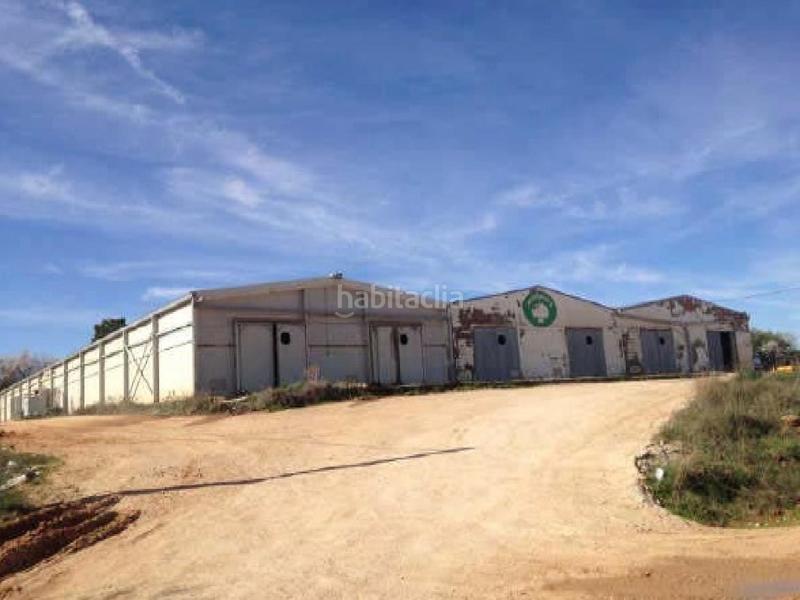 Foto 3f37d6f8-5aa5-441c-b4bc-46753fe60fee. Nave industrial sin promocion en Villanueva de la Jara