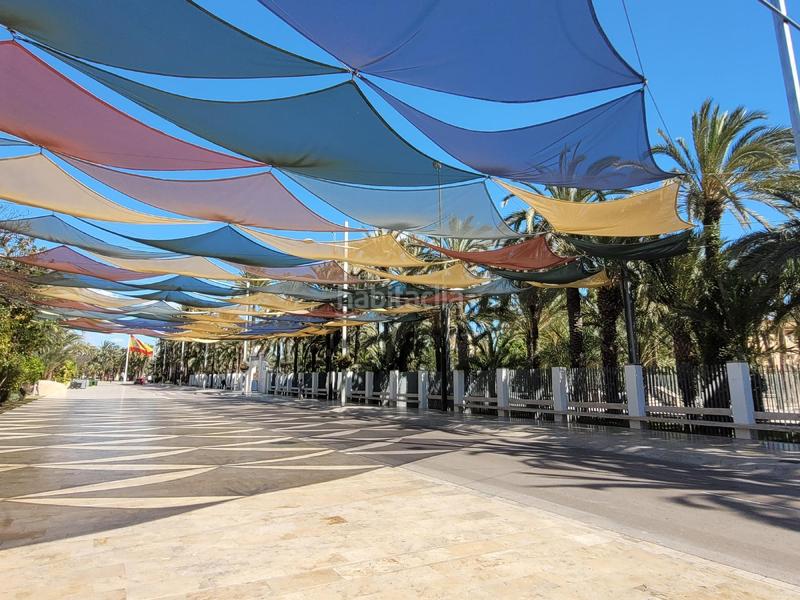 Foto 097ea784-e640-4109-8012-1ccb699bcd3b. Local comercial maestro albeniz 10elche en Centro Elche / Elx