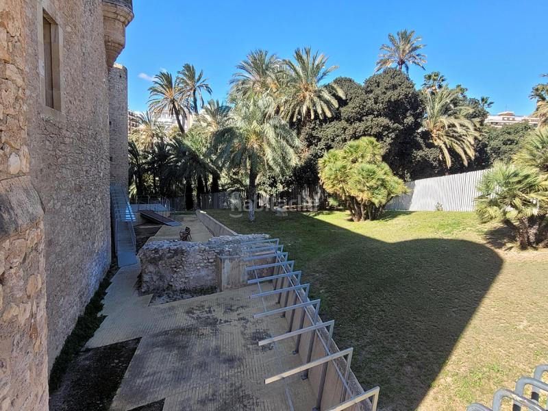 Foto 15d26591-ce11-4cd2-ac57-181c52aebc23. Local comercial maestro albeniz 10elche en Centro Elche / Elx