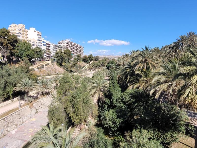 Foto 3f8d4a3f-4cf7-4408-ab1d-932581363094. Local comercial maestro albeniz 10elche en Centro Elche / Elx