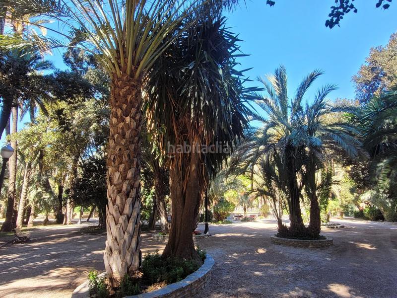 Foto 782740b7-5364-4ef3-a038-e070ec3b94dd. Local comercial maestro albeniz 10elche en Centro Elche / Elx