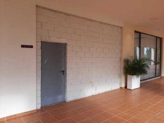 Local Comercial a Sotogrande Alto. Cantarillo 9