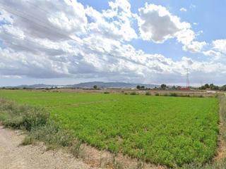 Terreny residencial a Totana. Suelo sito en totana