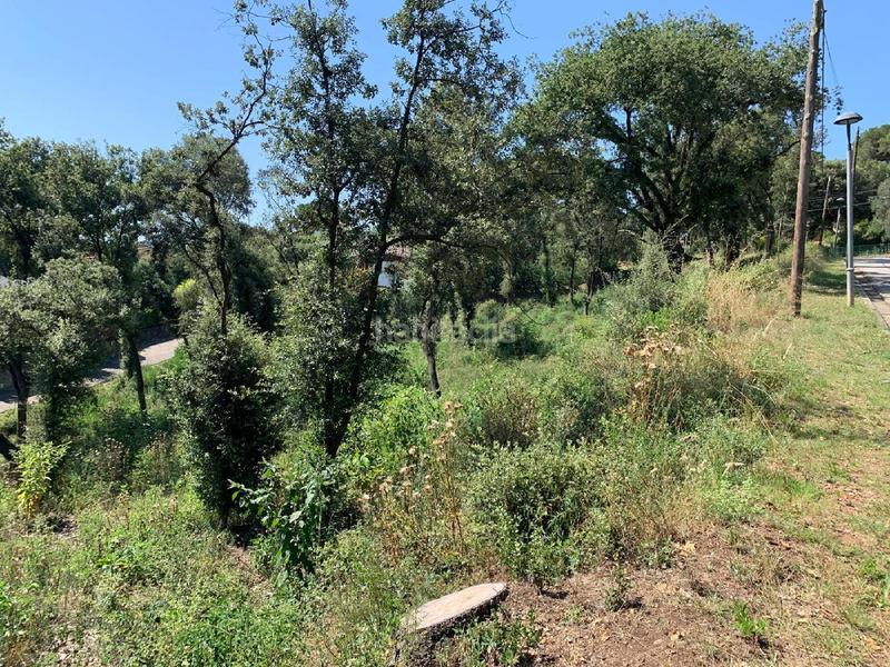 Foto d751b29b-3af9-4bd0-8fc3-979866d50a7a. Terrain résidentiel dans Sant Pere de Vilamajor