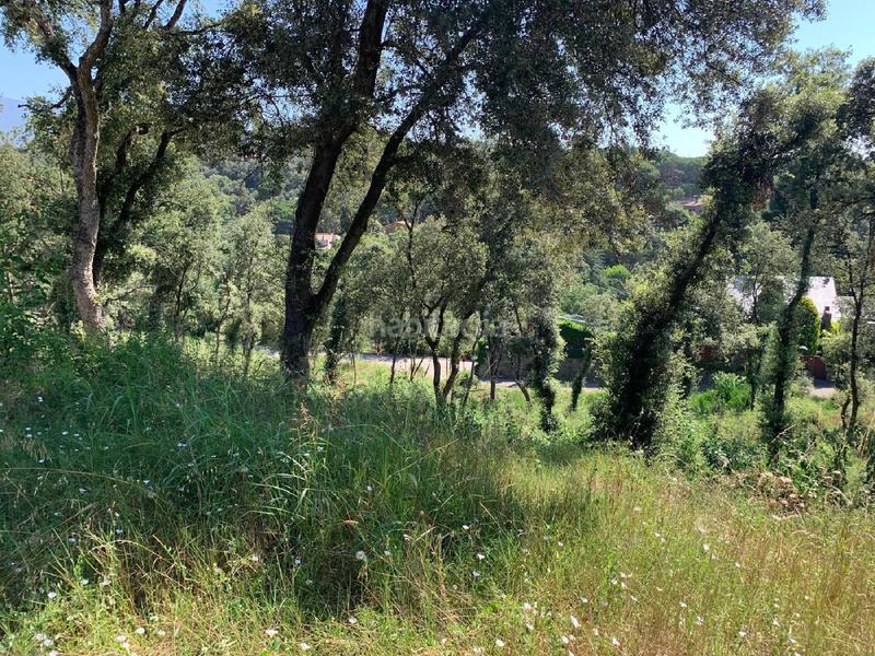 Foto db01ec67-e51f-4292-ae2e-26a82bcbf0ba. Terrain résidentiel dans Sant Pere de Vilamajor