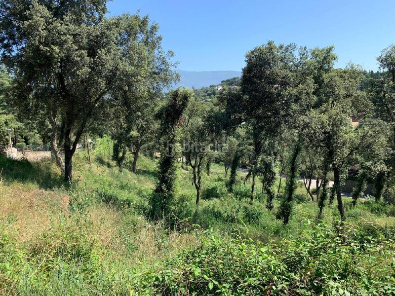 Foto ddcbdd53-6cc0-40bc-b143-d62575ae0fcf. Terrain résidentiel dans Sant Pere de Vilamajor