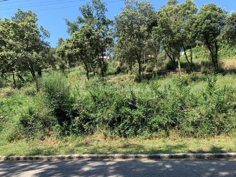 Foto e04d1037-bdf7-4f58-860b-c542b099057d. Terrain résidentiel dans Sant Pere de Vilamajor