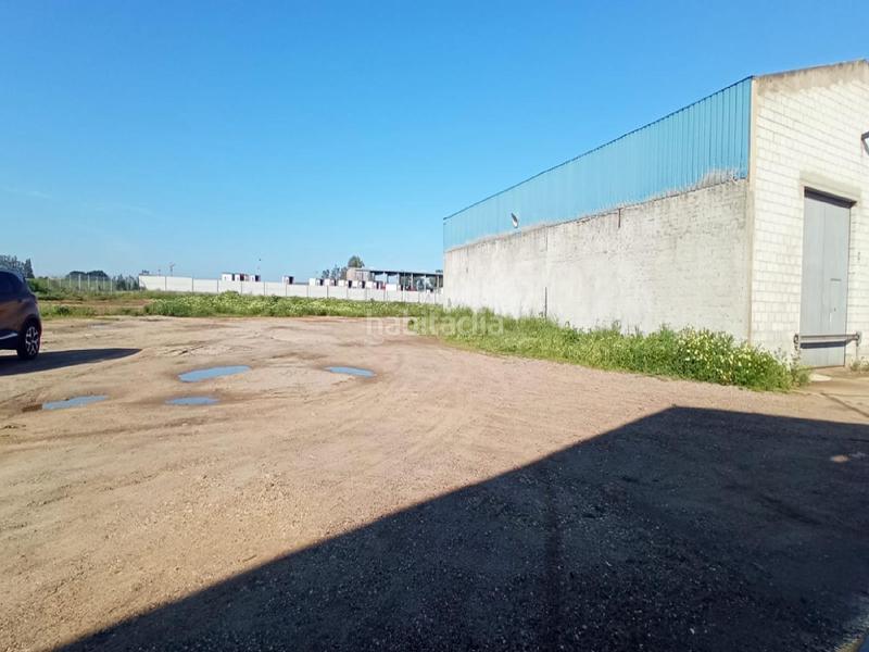 Foto 9396ac64-18bf-462b-8016-7d0ad690bb7c. Nave industrial sin promoción en Rinconada (La)