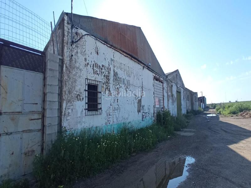 Foto a6a2d30b-b880-4d28-8b62-5583358da5b3. Nave industrial sin promoción en Rinconada (La)