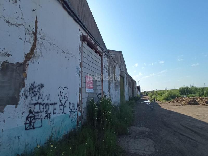 Foto ac03481a-d882-4ed4-abad-21ebb095e2ab. Nave industrial sin promoción en Rinconada (La)