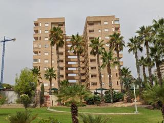 Pis a Centro. Jardin 3