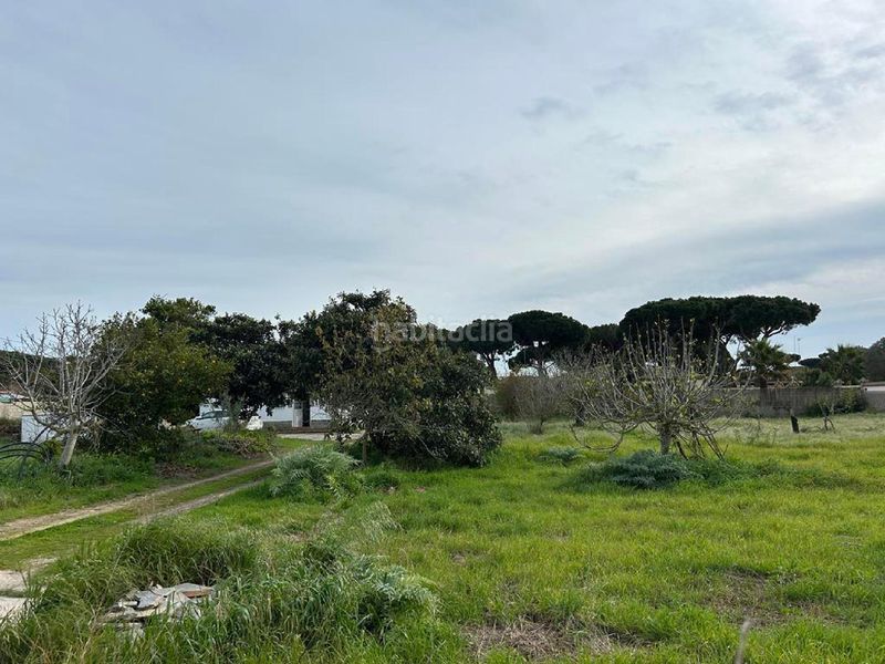 Foto 54a5c55a-9b4e-4142-95ce-f87a82f066a6. Finca rústica a Las Lagunas - Campano Chiclana de la Frontera