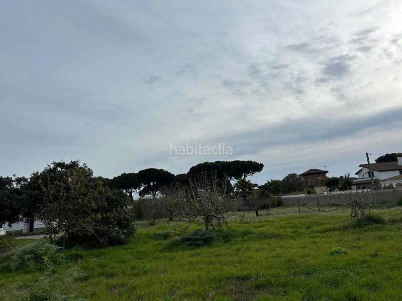 Foto f4b78c8f-fec8-429d-b4fa-861a9d527975. Finca rústica a Las Lagunas - Campano Chiclana de la Frontera
