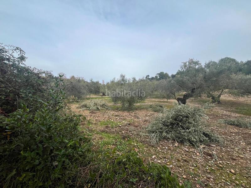 Foto 06c1668f-ae19-4f65-8166-bfd05f8a0650. Finca rústica p.p.r. 2 en Nucli Urbà Esparreguera