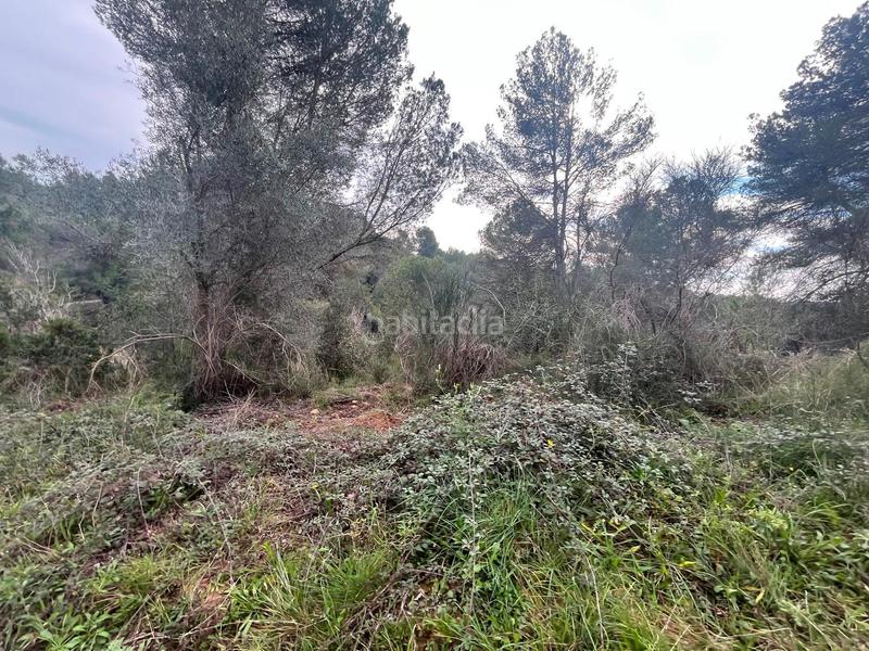 Foto 09ceee5f-cd31-4cd0-b27f-b2d783c2648a. Finca rústica p.p.r. 2 en Nucli Urbà Esparreguera