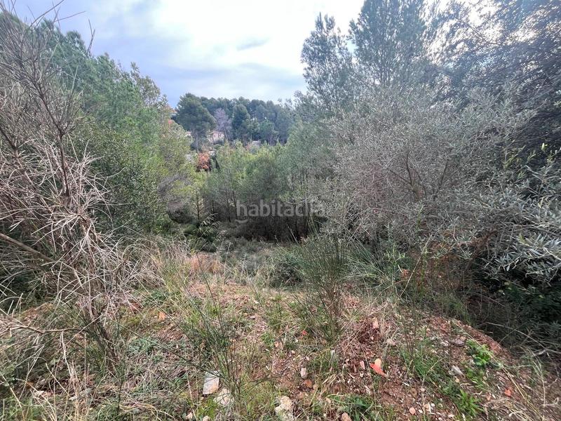 Foto 203a074f-b50e-4e9f-9276-2d9986c5ac91. Finca rústica p.p.r. 2 en Nucli Urbà Esparreguera