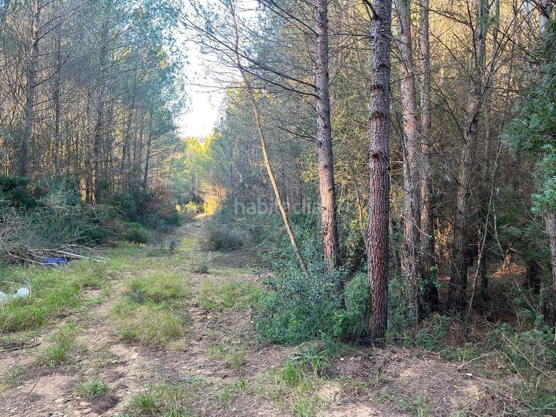 Foto 2ce59abe-f121-4bbb-91d5-c52647c4e4ca. Finca rústica p.p.r. 2 en Nucli Urbà Esparreguera