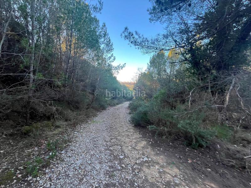 Foto 52979ee6-b15e-4afd-a06b-2ee543dc4d16. Finca rústica p.p.r. 2 en Nucli Urbà Esparreguera