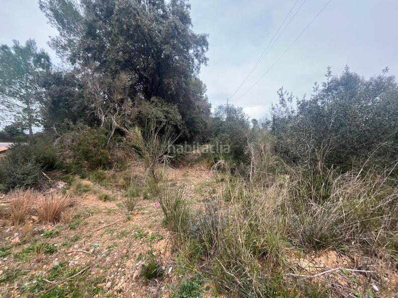 Foto 7771d692-868f-4cc5-bb6e-77e54a679e20. Finca rústica p.p.r. 2 en Nucli Urbà Esparreguera