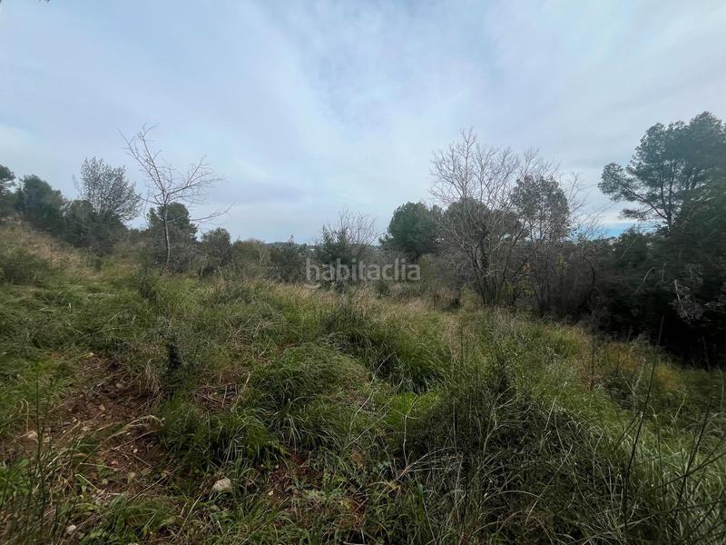 Foto 8a587acd-2bfb-48b1-844e-bb08a5bfa747. Finca rústica p.p.r. 2 en Nucli Urbà Esparreguera