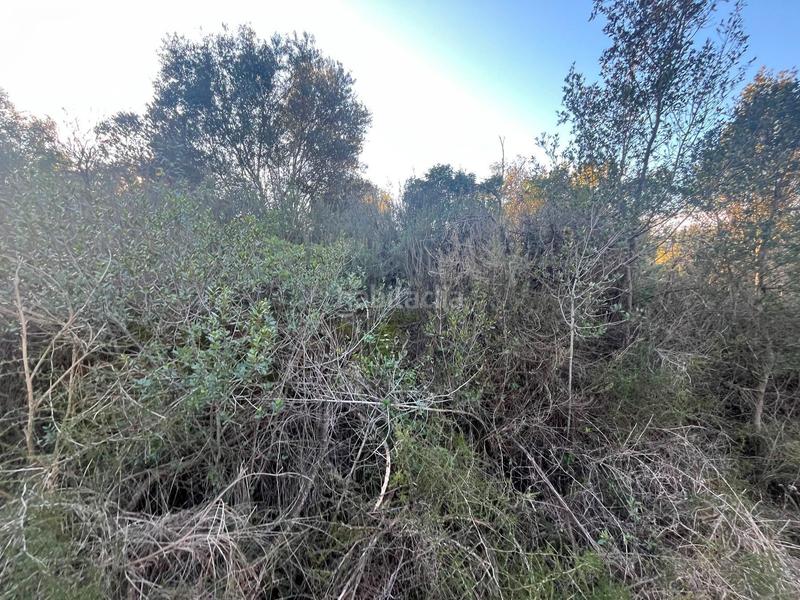 Foto a4713206-6b43-44fb-a515-bcc73d0f9166. Finca rústica p.p.r. 2 en Nucli Urbà Esparreguera